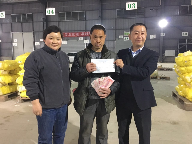 菜大师助蒙城菜农销售滞销大白菜