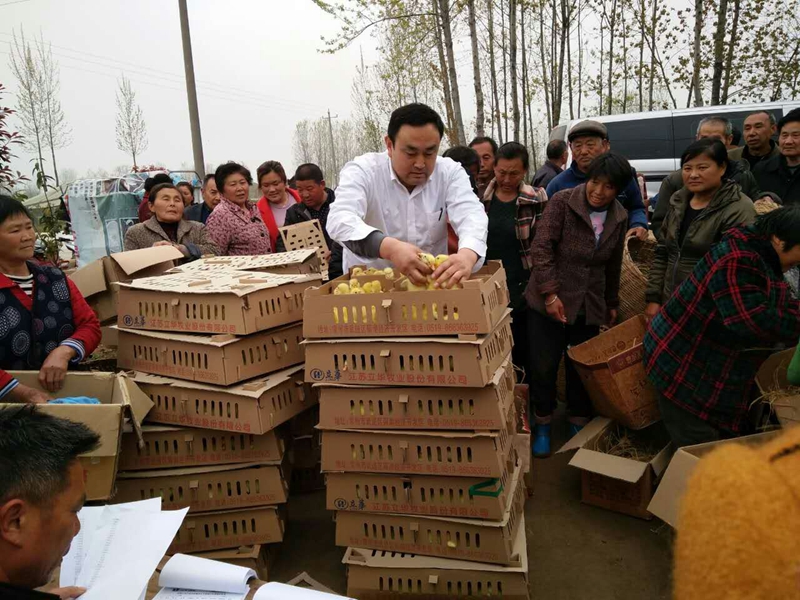 公司董事长为贫困户免费发放鹅苗