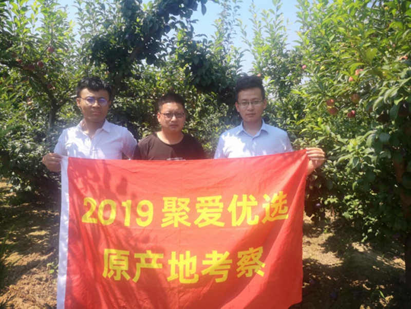 2019年7月9日 聚爱优选在陕西省大荔县南高迁村考察黑布林果子